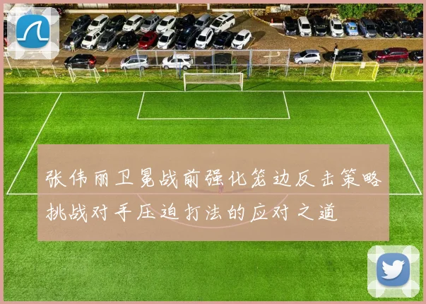 张伟丽卫冕战前强化笼边反击策略挑战对手压迫打法的应对之道
